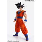 Bandai Spirits Imagination Works 1/9 Son Goku Dragon Ball Z Tamashii Nations