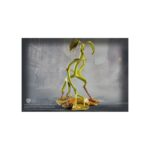 Noble Collection Magical Cretures 2 Bowtruckle Asticello Harry Potter Animali Fantastici Fantastic Beasts