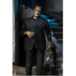 Neca Action Figure Ultimate Frankenstein's Monster Color Ver. Universal Monster