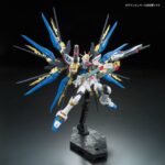 Bandai RG 1/144 ZGMF-X20A Strike Freedom Gundam Real Grade Mobile Suit Seed Destiny
